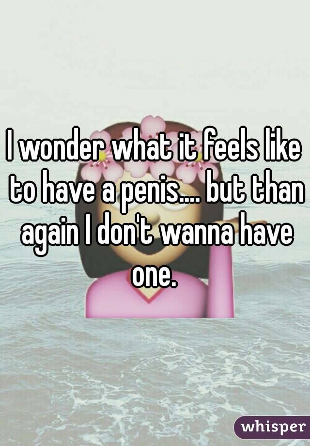 I wonder what it feels like to have a penis.... but than again I don't wanna have one. 