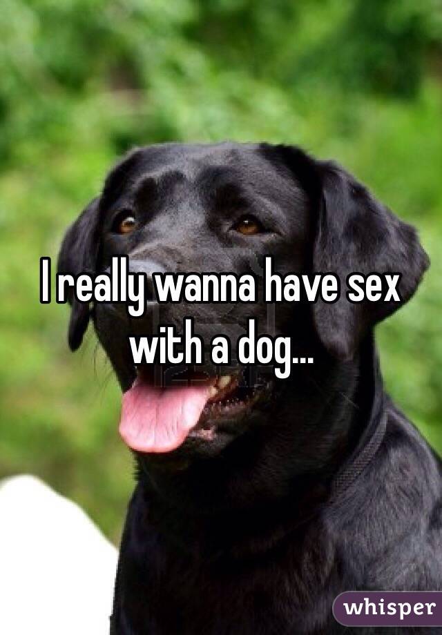 I really wanna have sex with a dog...