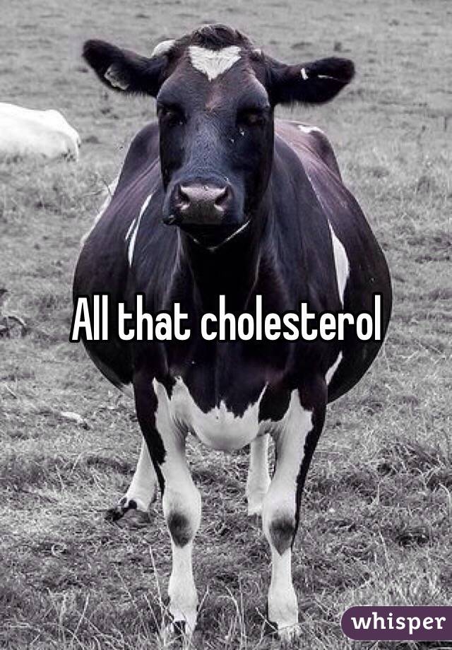 All that cholesterol 