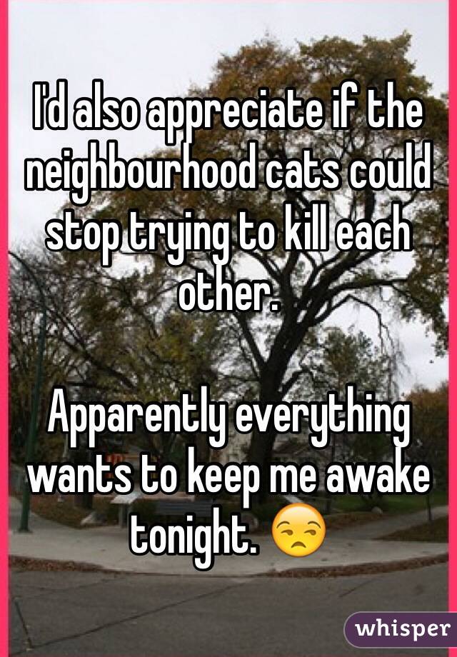 I'd also appreciate if the neighbourhood cats could stop trying to kill each other. 

Apparently everything wants to keep me awake tonight. 😒 