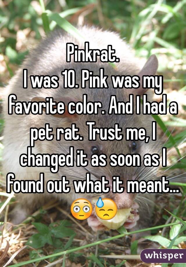 Pinkrat.
I was 10. Pink was my favorite color. And I had a pet rat. Trust me, I changed it as soon as I found out what it meant... 😳😓