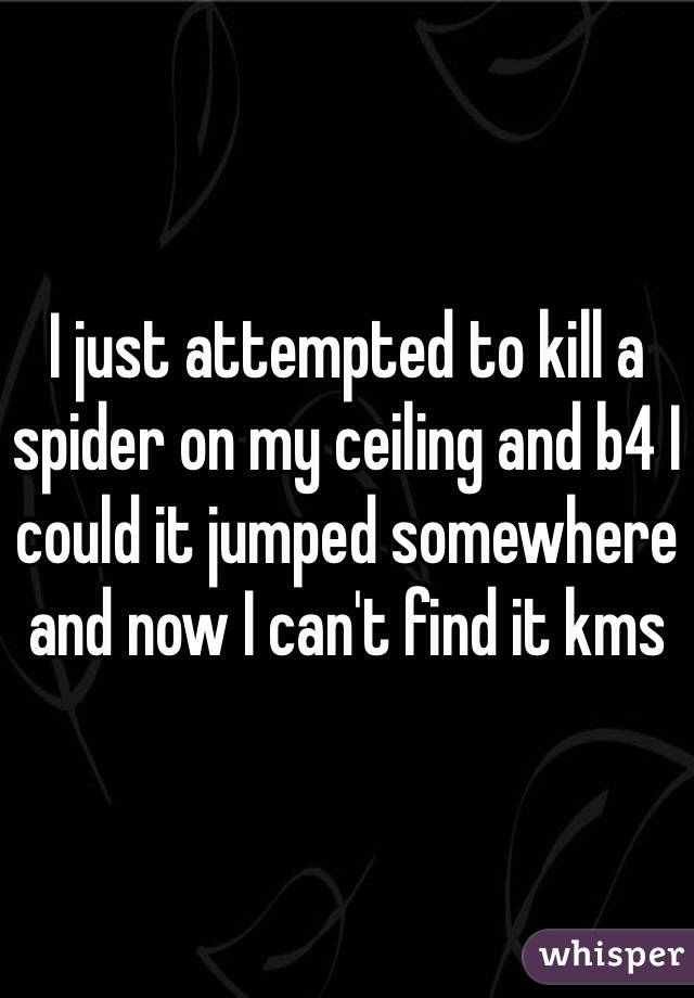 I just attempted to kill a spider on my ceiling and b4 I could it jumped somewhere and now I can't find it kms