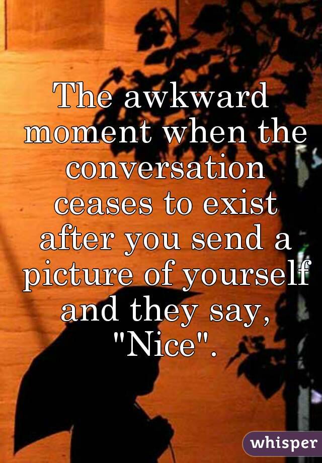 The awkward moment when the conversation ceases to exist after you send a picture of yourself and they say, "Nice".
