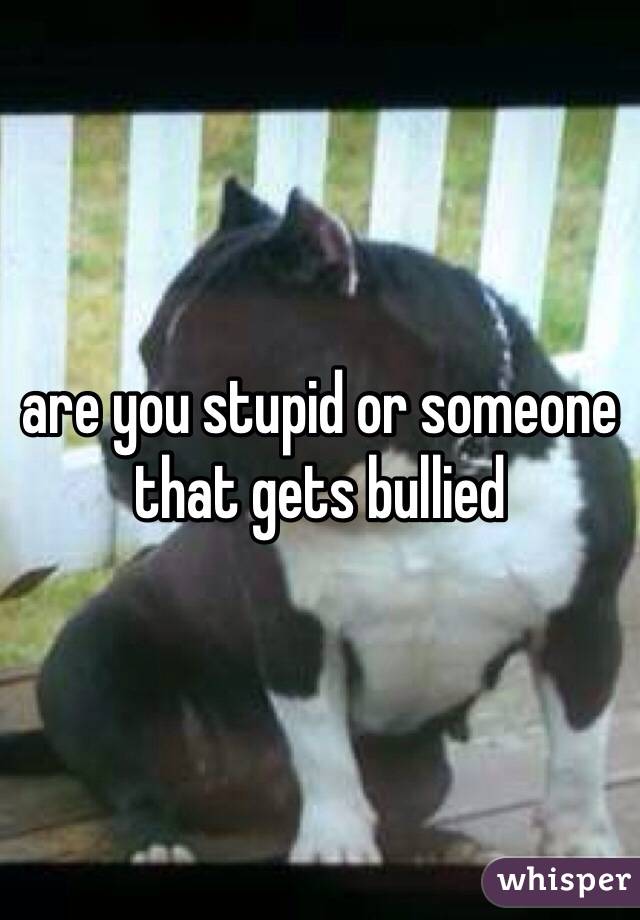 are you stupid or someone that gets bullied