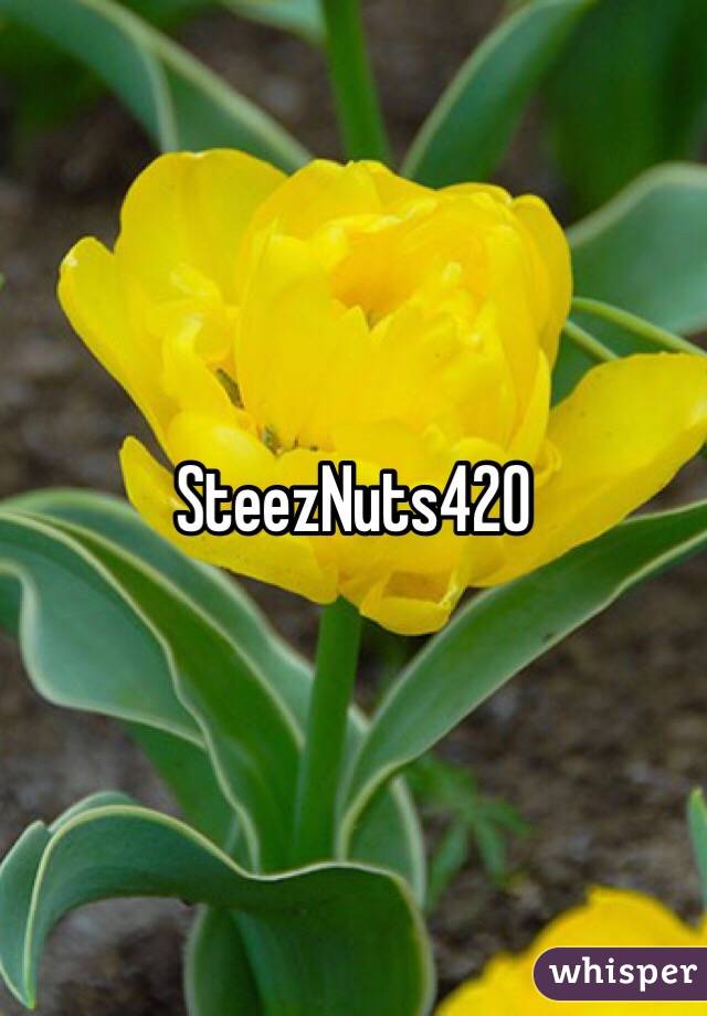 SteezNuts420