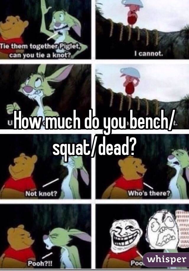 How much do you bench/squat/dead?
