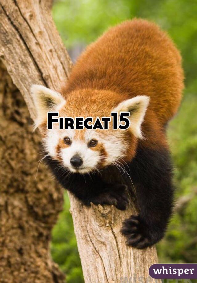 Firecat15