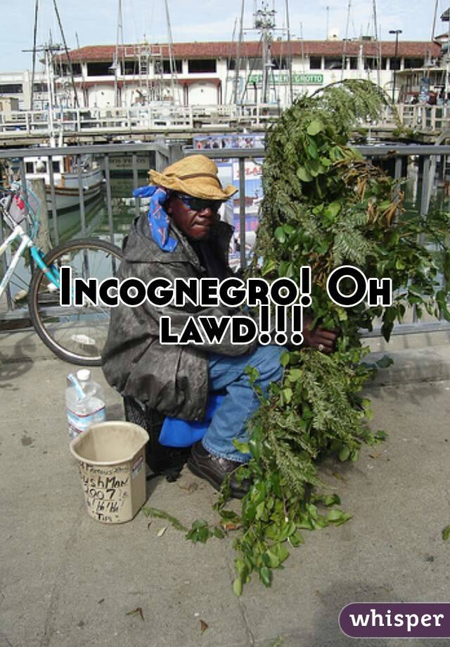 Incognegro! Oh lawd!!!