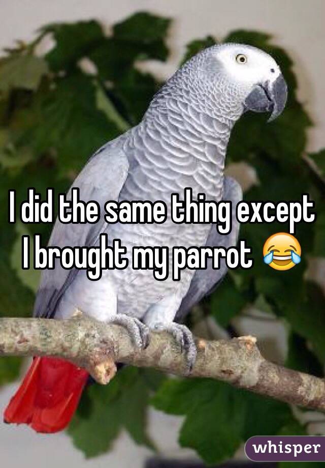 I did the same thing except I brought my parrot 😂