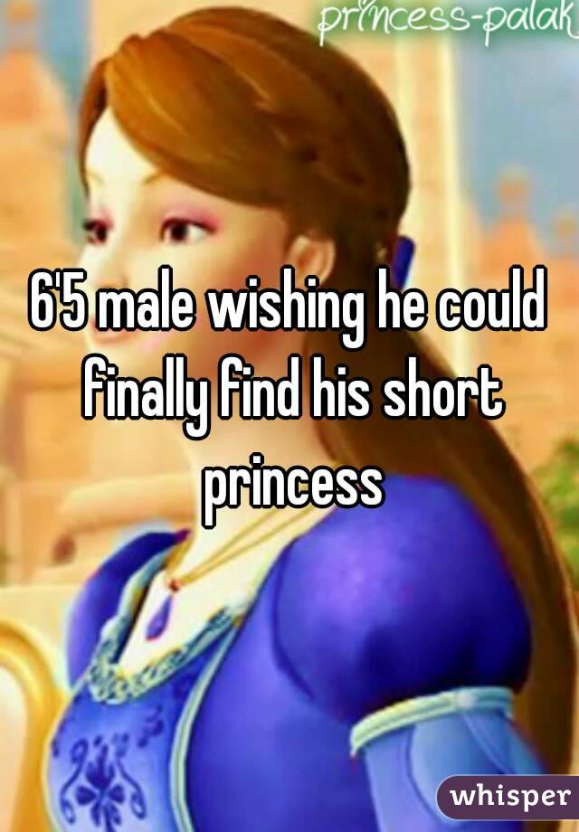 6'5 male wishing he could finally find his short princess