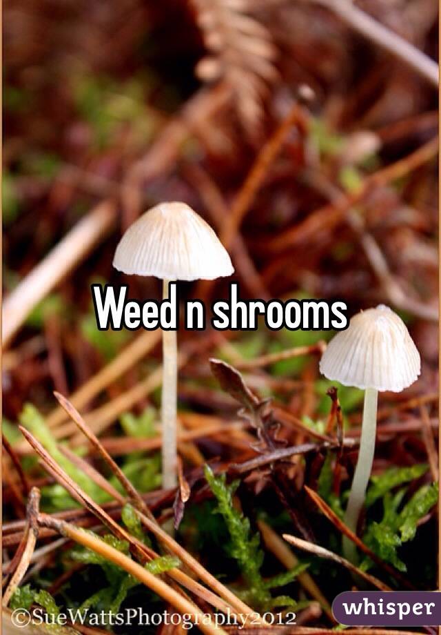 Weed n shrooms