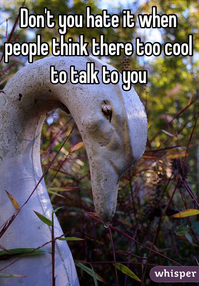 Don't you hate it when people think there too cool to talk to you