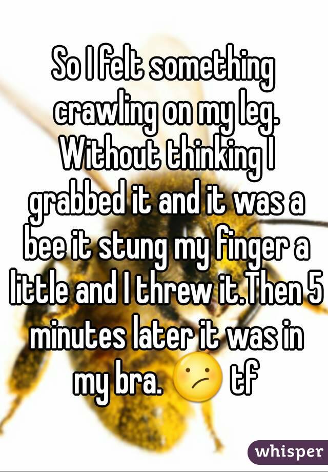 So I felt something crawling on my leg. Without thinking I grabbed it and it was a bee it stung my finger a little and I threw it.Then 5 minutes later it was in my bra. 😕 tf