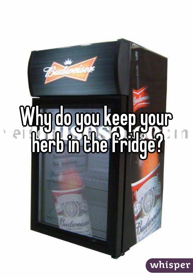Why do you keep your herb in the fridge?