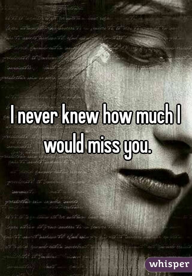 I never knew how much I would miss you.