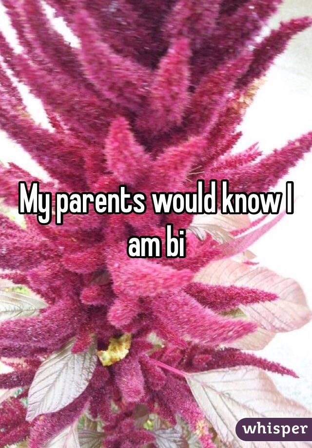 My parents would know I am bi