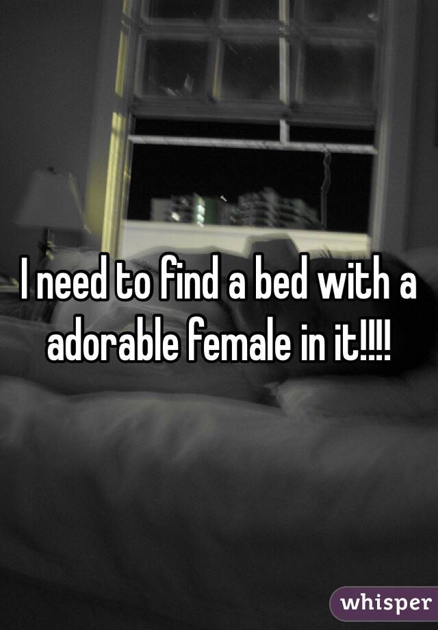 I need to find a bed with a adorable female in it!!!!