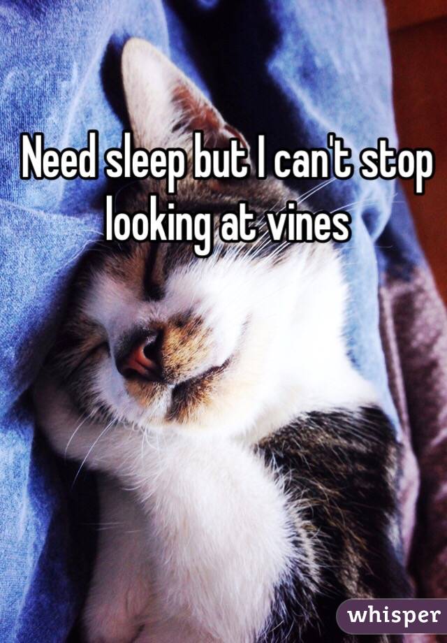 Need sleep but I can't stop looking at vines