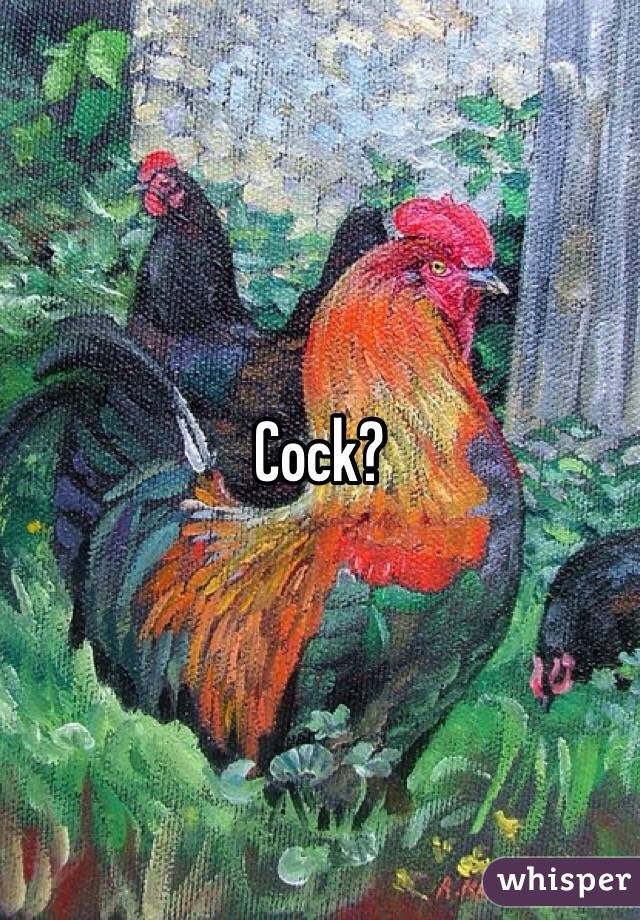 Cock?