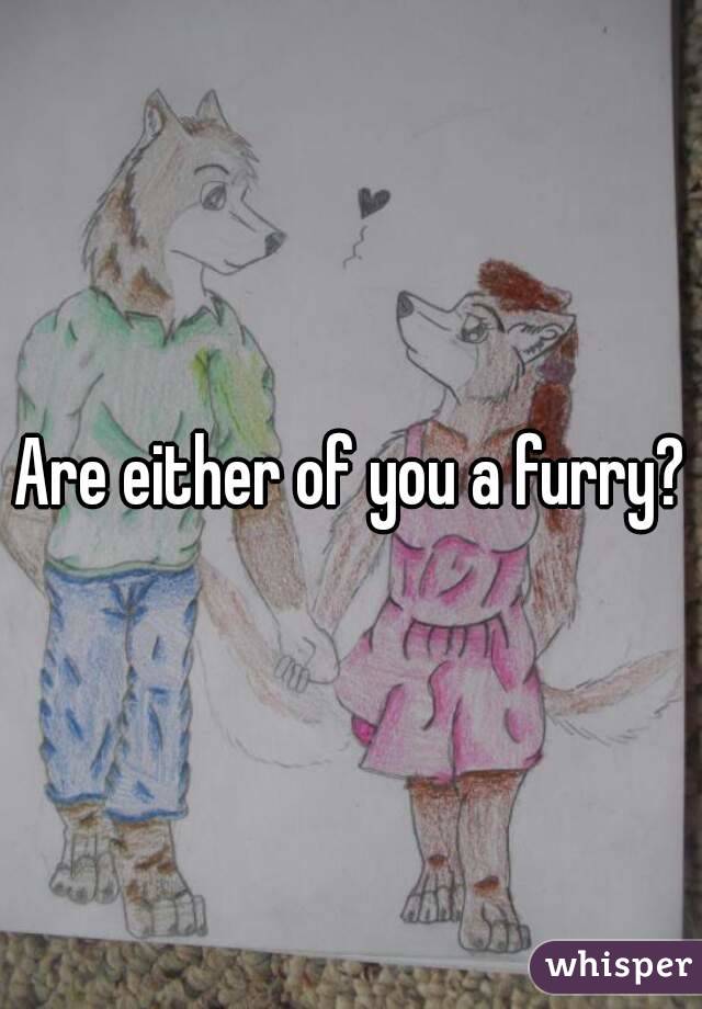 Are either of you a furry?
