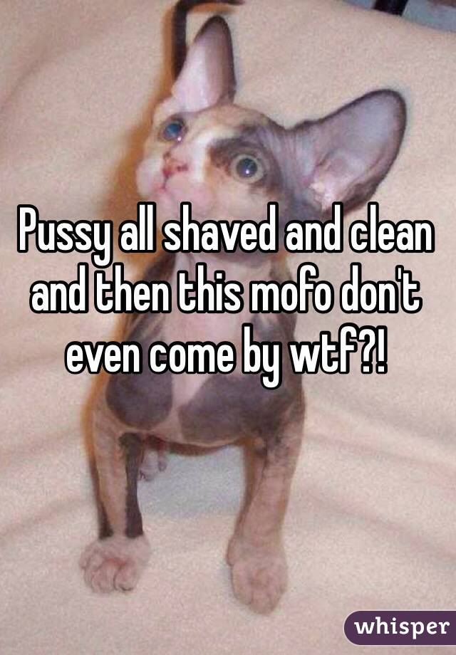 Pussy all shaved and clean and then this mofo don't even come by wtf?! 