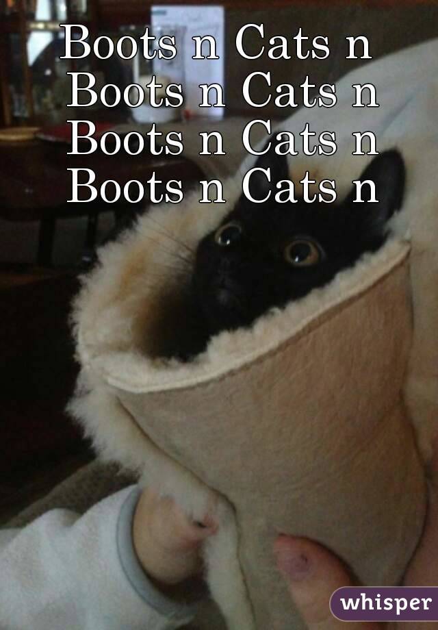 Boots n Cats n Boots n Cats n Boots n Cats n Boots n Cats n