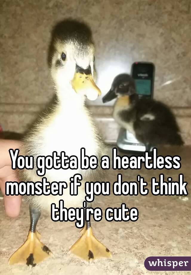 You gotta be a heartless monster if you don't think they're cute 