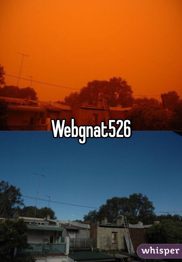 Webgnat526