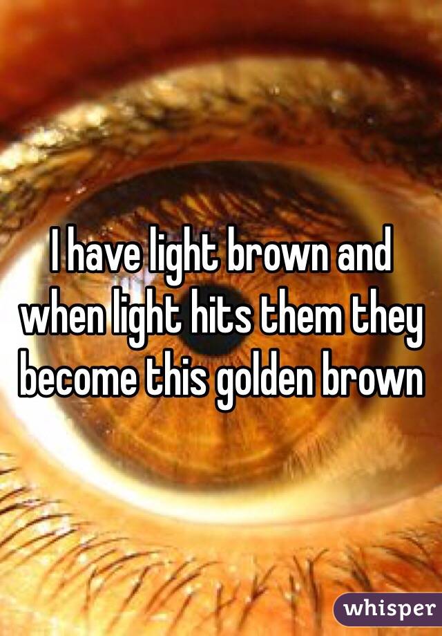 I have light brown and when light hits them they become this golden brown 