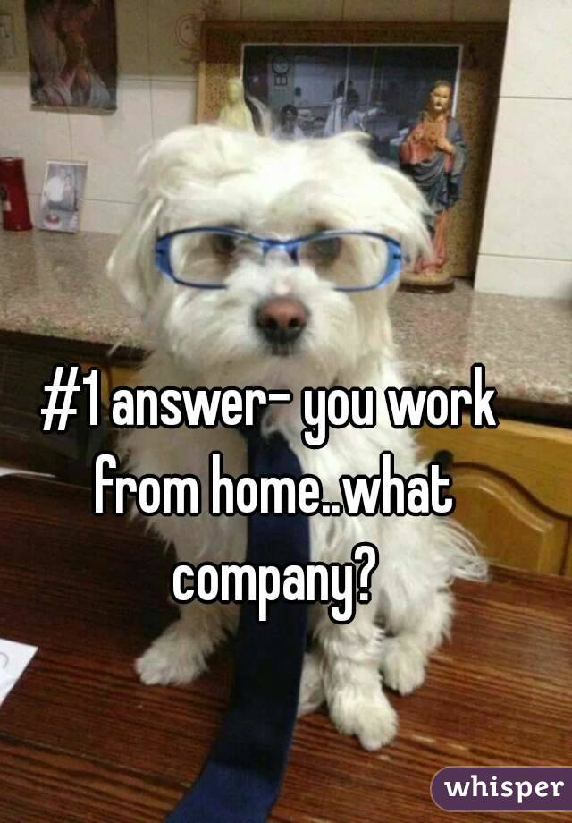 #1 answer- you work from home..what company?