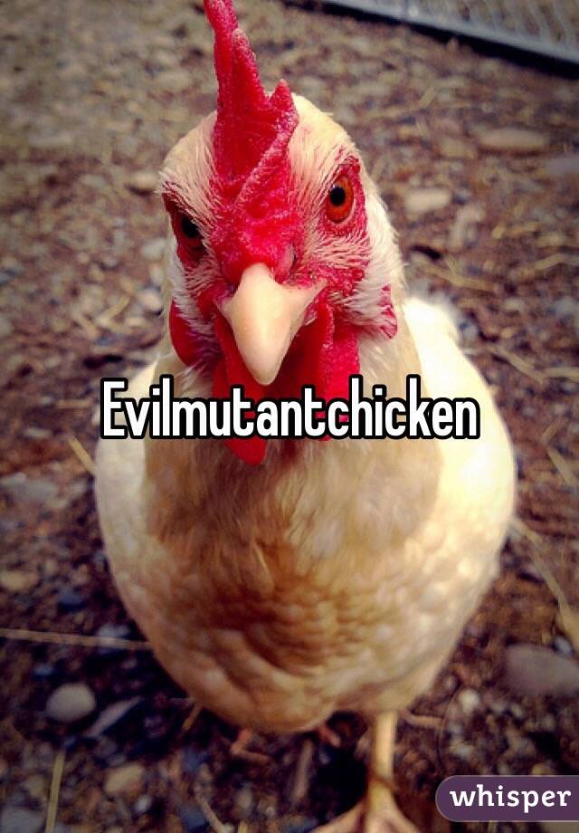 Evilmutantchicken