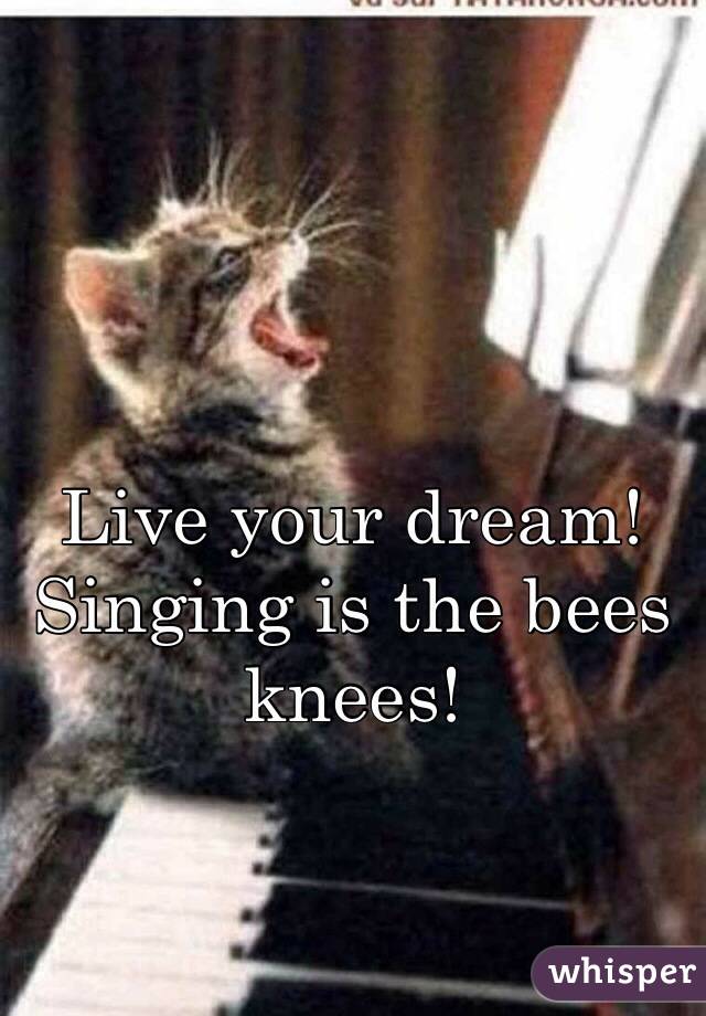 Live your dream! Singing is the bees knees! 