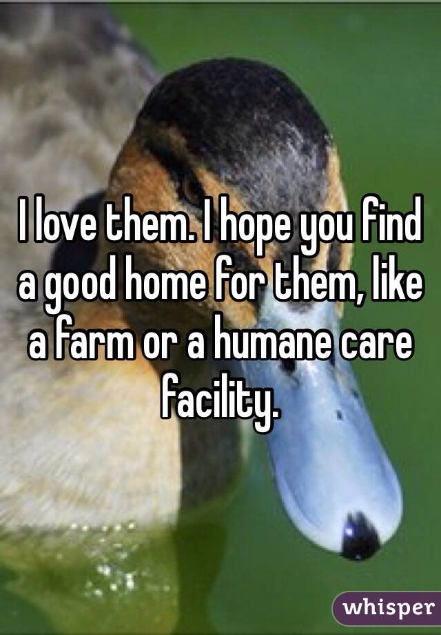 I love them. I hope you find a good home for them, like a farm or a humane care facility. 