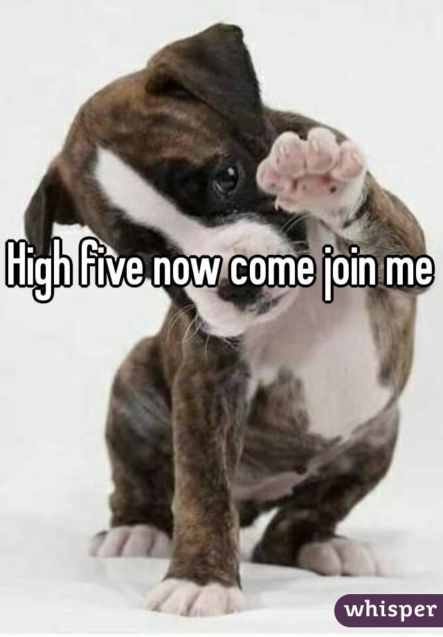 High five now come join me 
