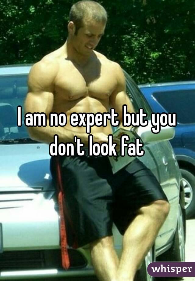 I am no expert but you don't look fat 