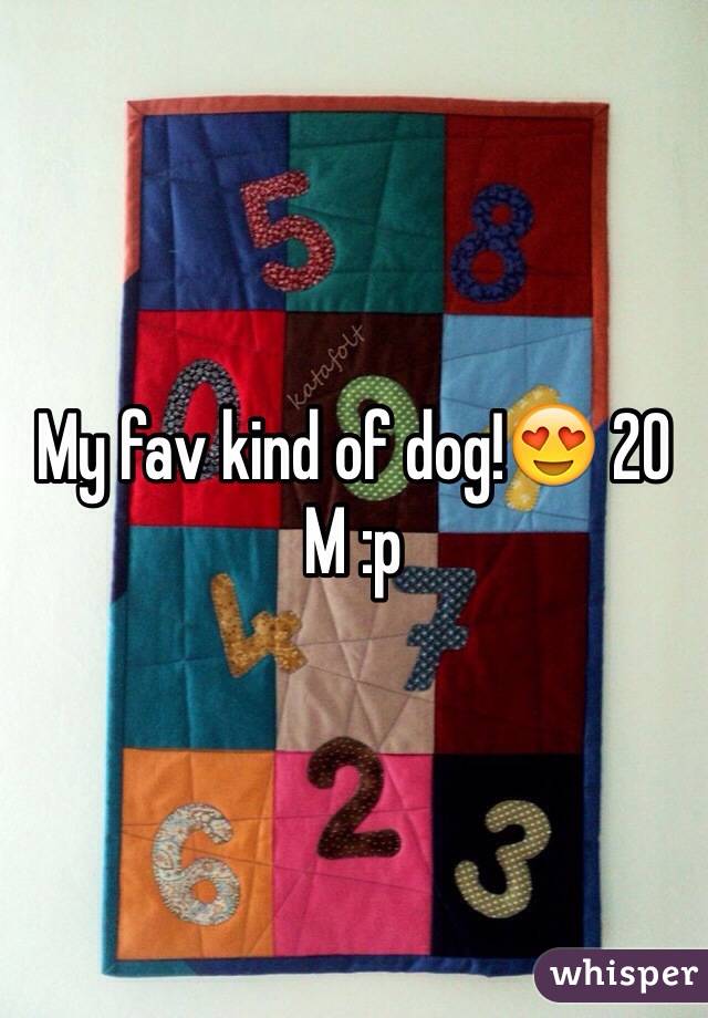 My fav kind of dog!😍 20 M :p