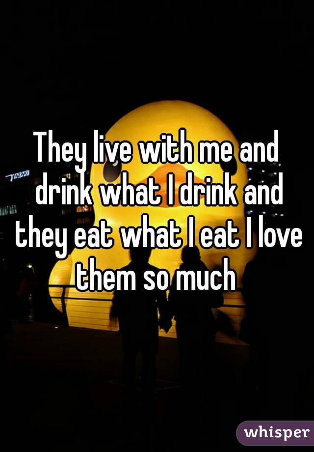 They live with me and drink what I drink and they eat what I eat I love them so much 