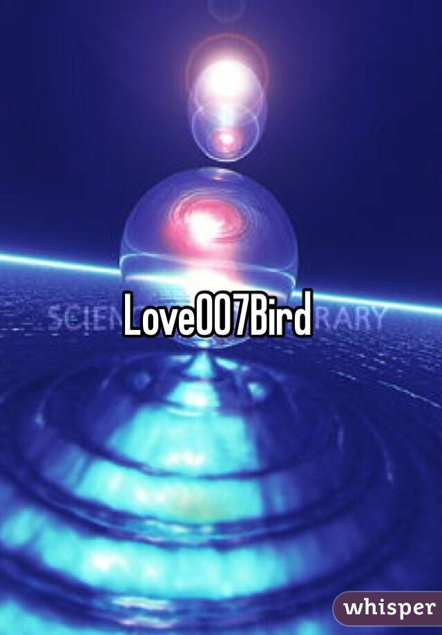 Love007Bird