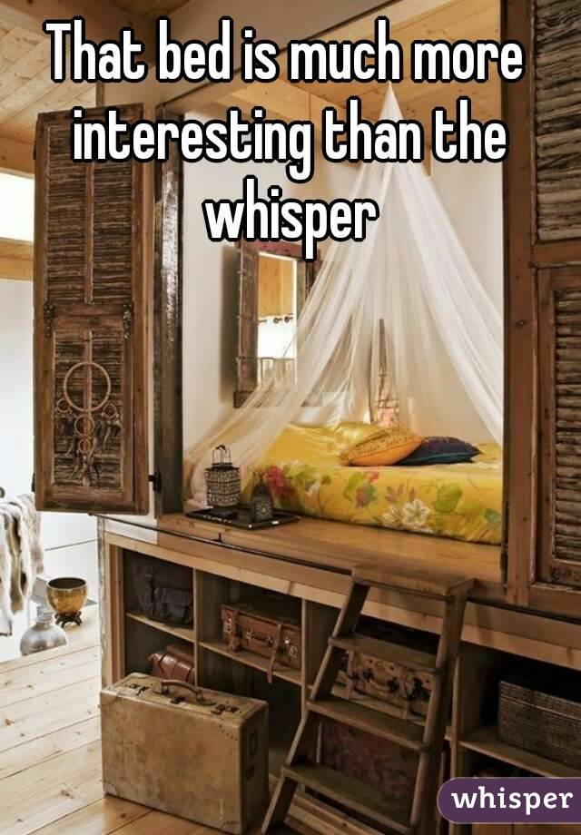 That bed is much more interesting than the whisper