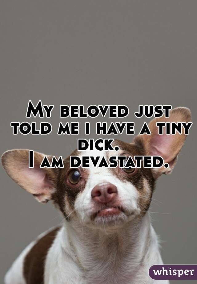 My beloved just told me i have a tiny dick. 
I am devastated.