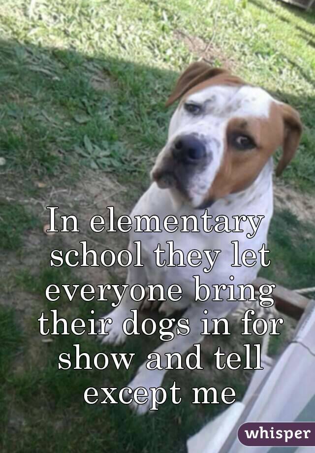 In elementary school they let everyone bring their dogs in for show and tell except me