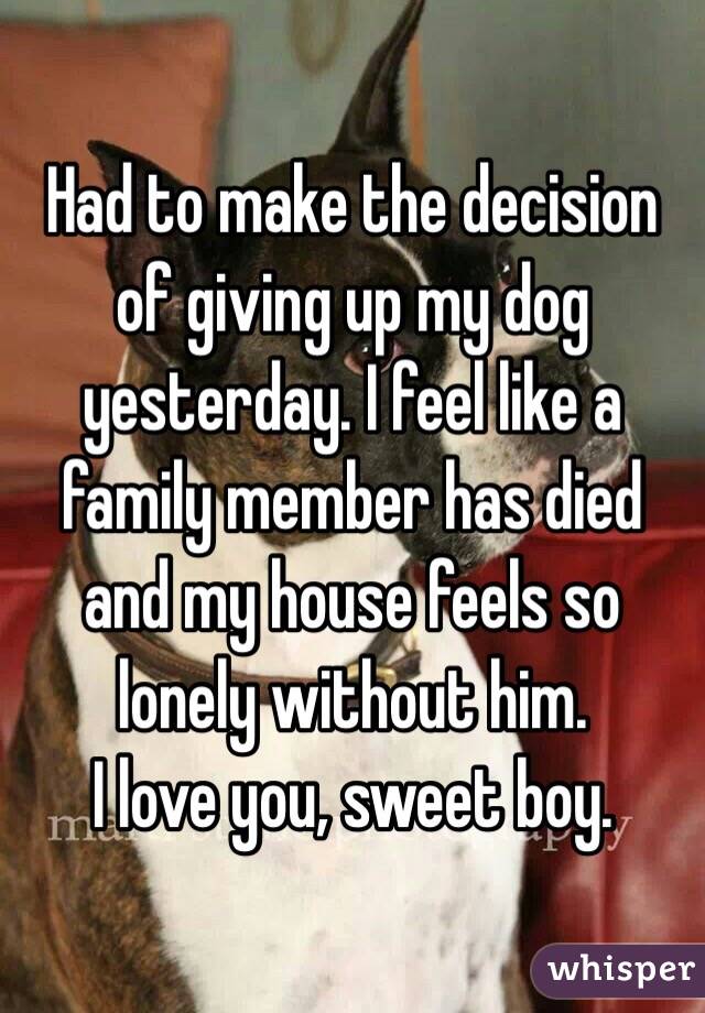 Had to make the decision of giving up my dog yesterday. I feel like a family member has died and my house feels so lonely without him. 
I love you, sweet boy. 