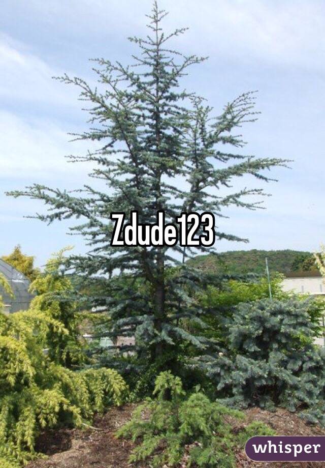 Zdude123