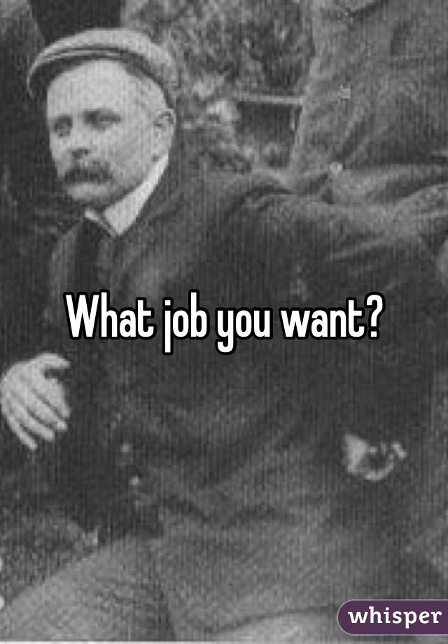 What job you want?