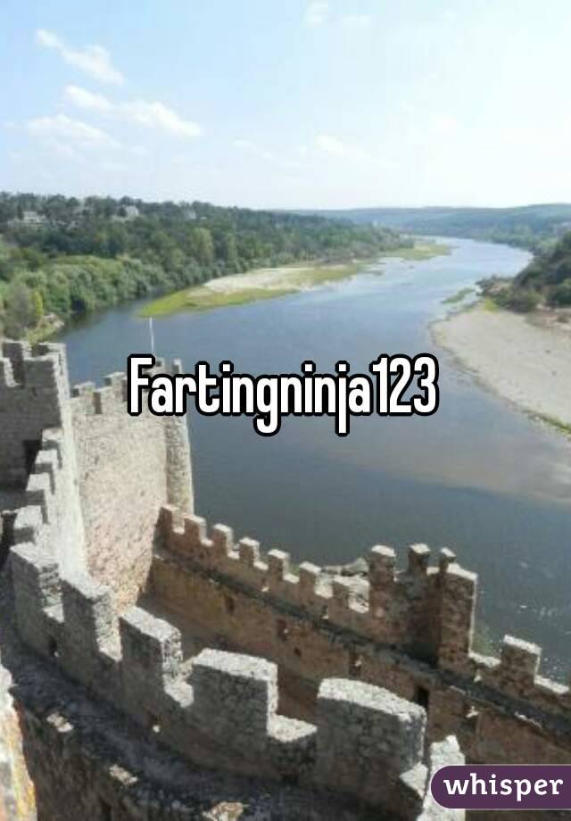 Fartingninja123