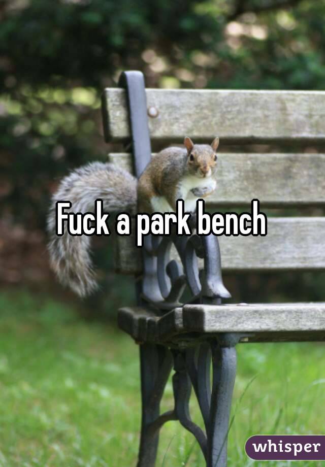 Fuck a park bench