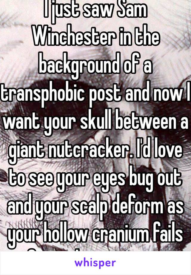 I just saw Sam Winchester in the background of a transphobic post and now I want your skull between a giant nutcracker. I'd love to see your eyes bug out and your scalp deform as your hollow cranium fails from the pressure. 