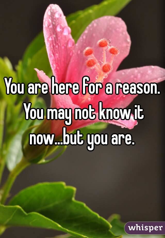 You are here for a reason. You may not know it now...but you are. 
