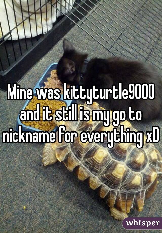 Mine was kittyturtle9000 and it still is my go to nickname for everything xD