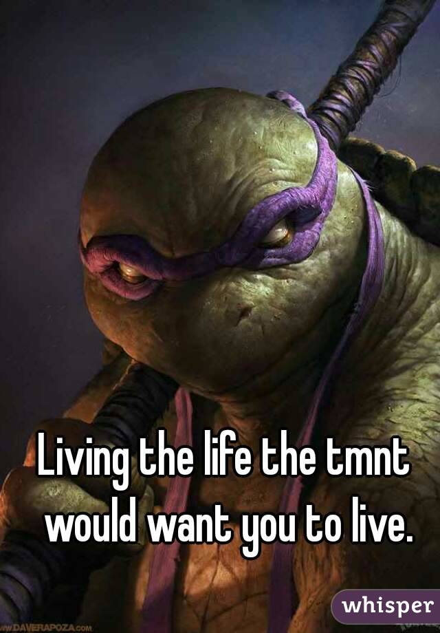 Living the life the tmnt would want you to live.